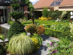 De tuin op 15-08-08 013