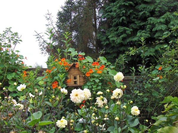 De villa in de bloemetjes gezet 001