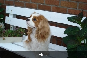 Fleur