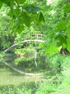 DSCN0746