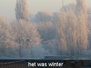 DSCN1090