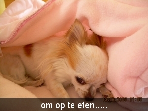 DSCN0213