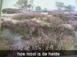 DSCN1360