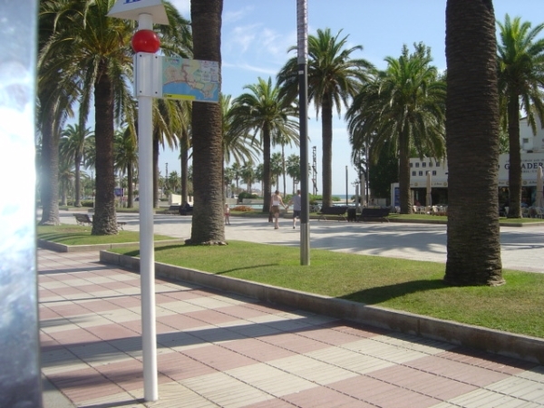 Reis Cambrils 2009 005