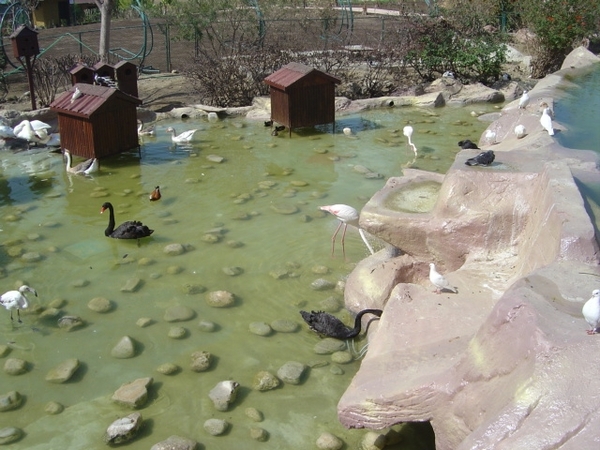 Reis naar Side 2008 007