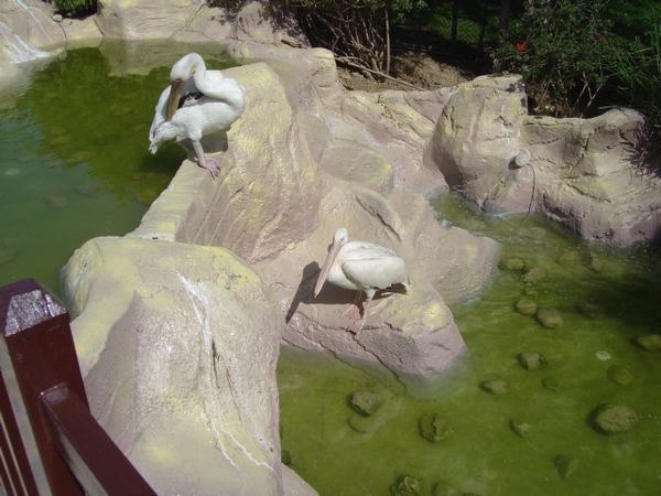 Reis naar Side 2008 011