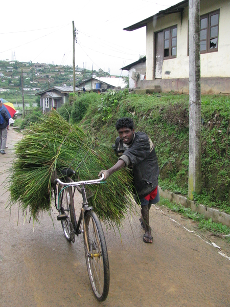 Vervoer per fiets