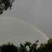 Regenboog