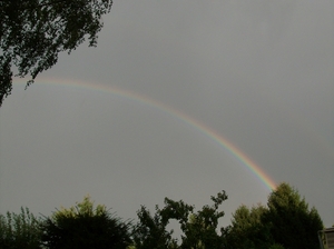 Regenboog