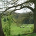 Landschap