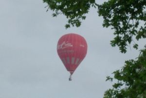 Gedragen door de wind