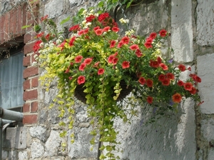 Bloemenkorf