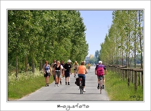 230509ROY-165-kopie-2