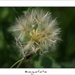 230509ROY-182-kopie