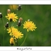 230509ROY-183-kopie