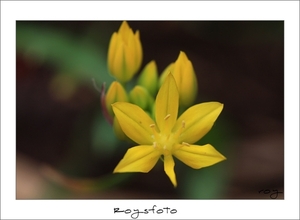 230509ROY-184-kopie