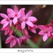 230509ROY-187-kopie