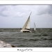 240509ROY-156-kopie