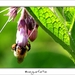 230509ROY-047-kopie