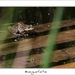 230509ROY-059-kopie
