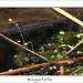 230509ROY-061-kopie