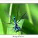 230509ROY-063-kopie