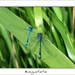 230509ROY-066-kopie