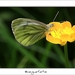 230509ROY-067-kopie