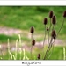 230509ROY-120-kopie