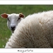 230509ROY-125-kopie