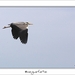 230509ROY-137-kopie