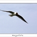 230509ROY-145-kopie