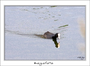 230509ROY-158-kopie