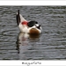 230509ROY-159-kopie