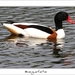230509ROY-163-kopie