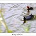 230509ROY-174-kopie