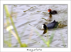 230509ROY-174-kopie