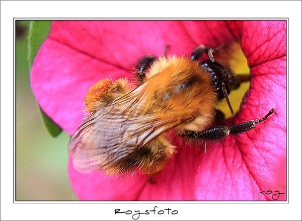 230509ROY-190-kopie