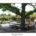 240509ROY-008-kopie-2
