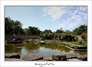 240509ROY-010-kopie-2