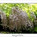 240509ROY-013-kopie