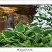 240509ROY-018-kopie