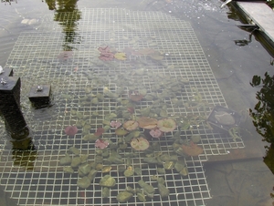 tegen de reiger 002