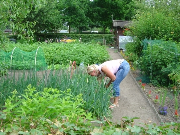 RONDGANG VOLKSTUIN 2006 008