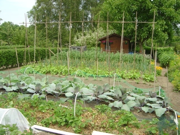 RONDGANG VOLKSTUIN 2006 013