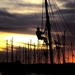 5-18-2009_001