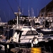 5-18-2009_013