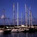 5-18-2009_031