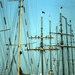 5-22-2009_371