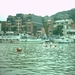 IM001118